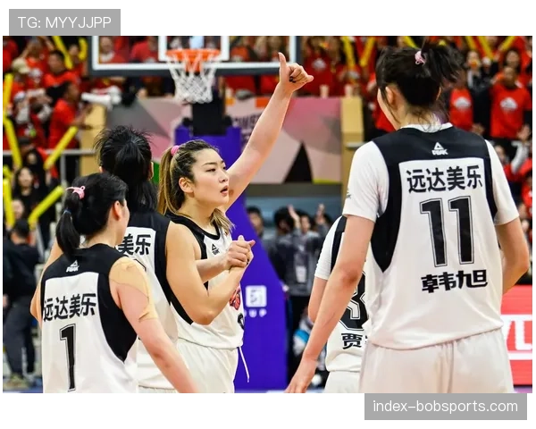 WCBA联赛版图覆盖20个省区市 反映各地篮球文化发展差异